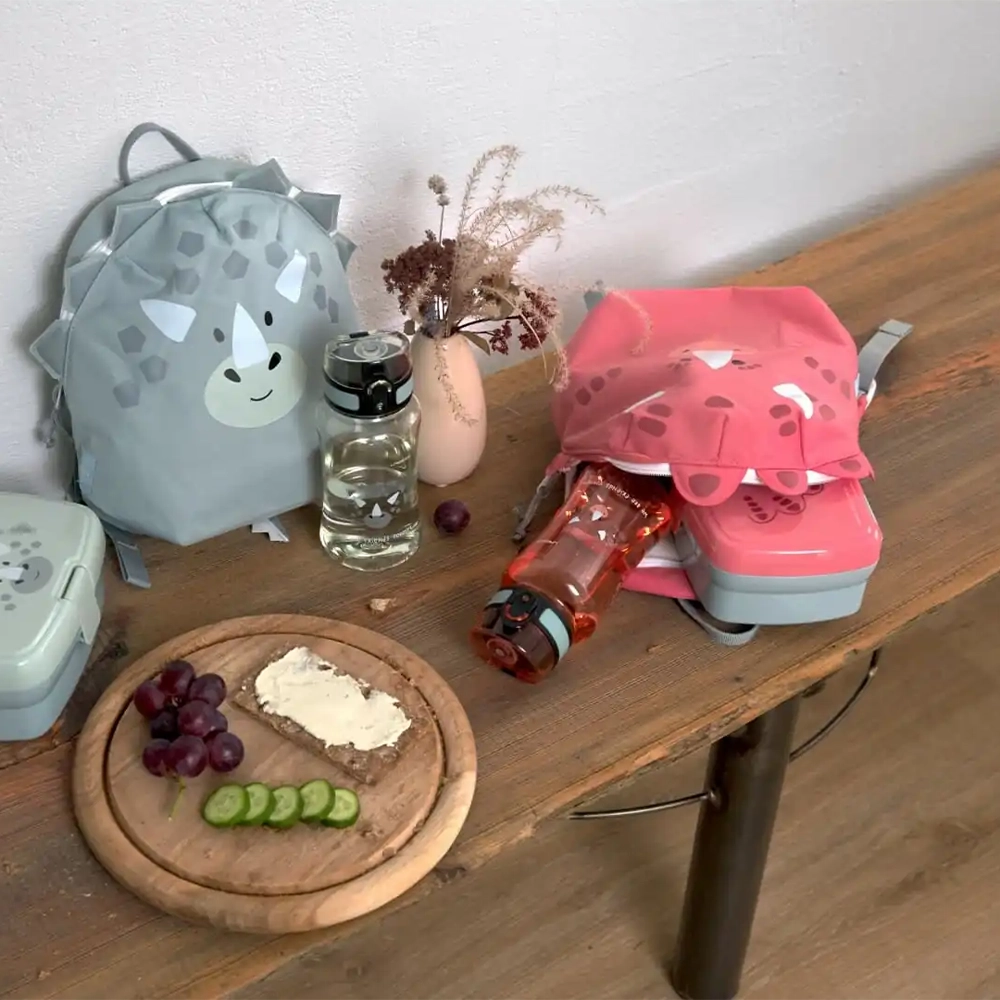 lassig-mal-ranec-about-friends-dino-pink