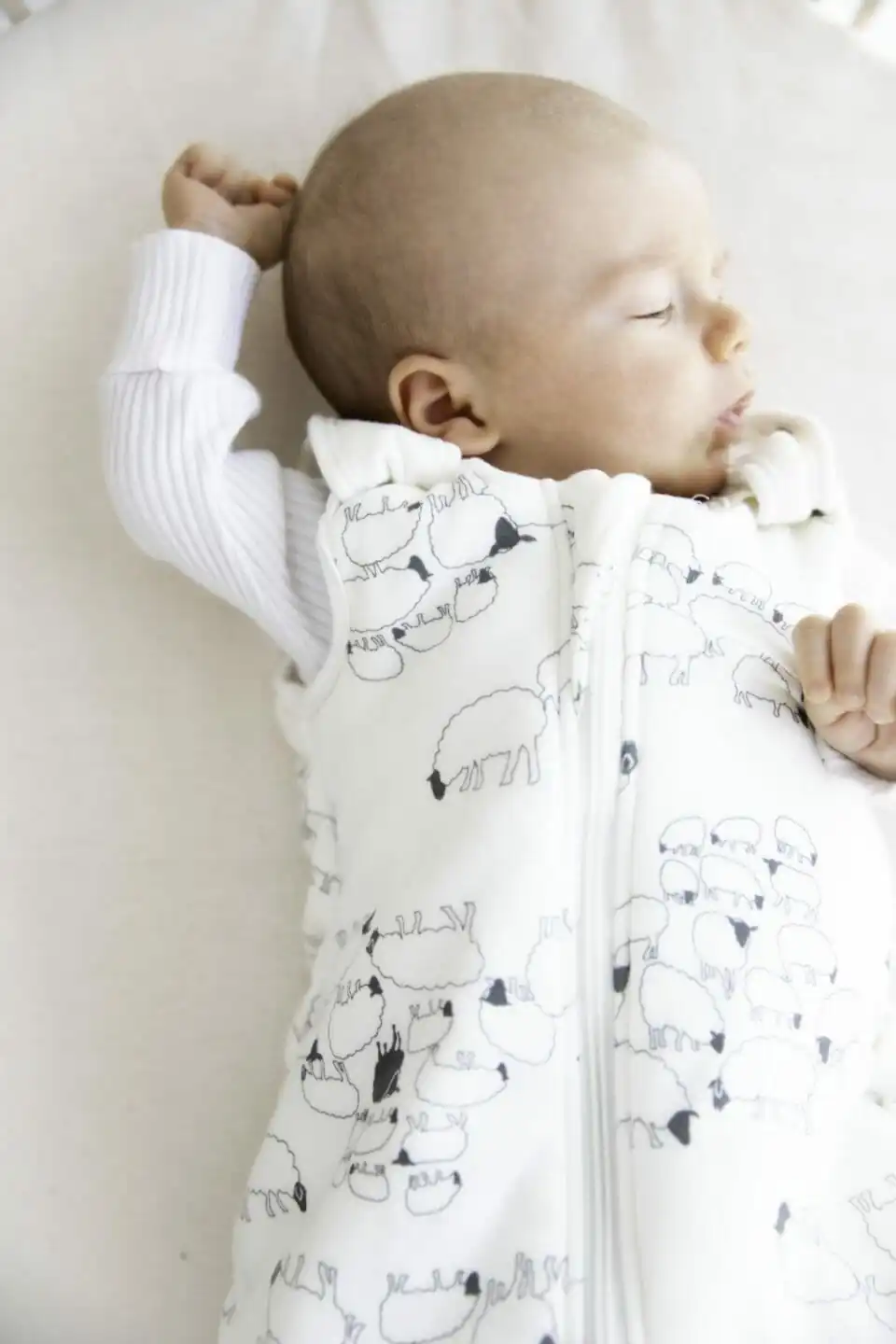 sleeping_bag_sheep_01-2